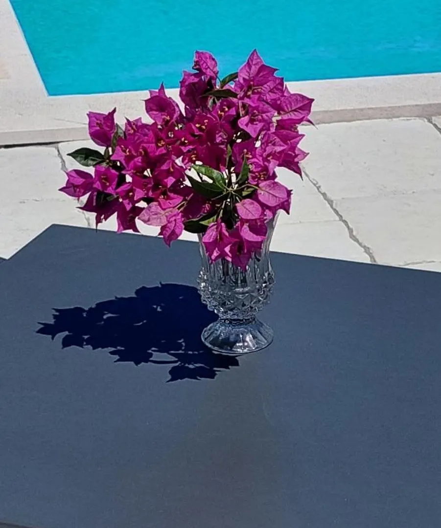 Villa Irene Veli Losinj Croatia